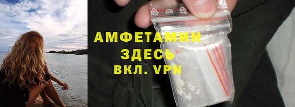 стаф Богданович