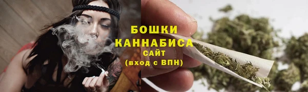 стаф Богданович