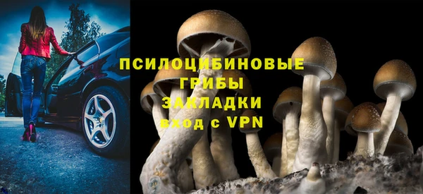 mdma Богородицк