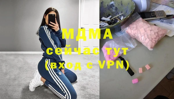 стаф Богданович