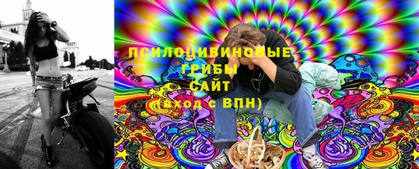 mdma Богородицк