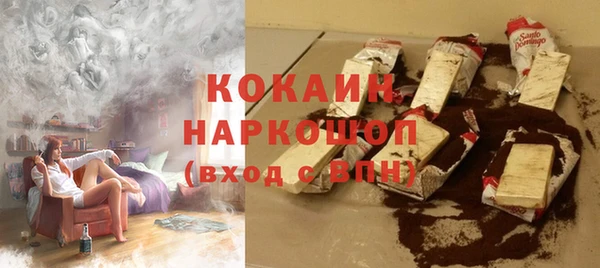 стаф Богданович