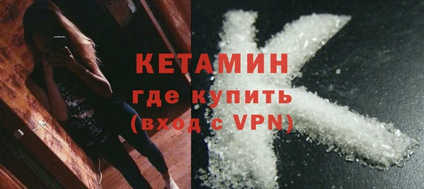 стаф Богданович