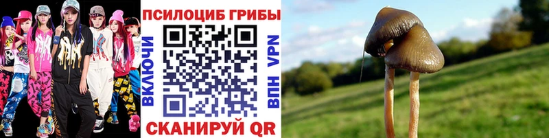 где найти   гидра зеркало  Псилоцибиновые грибы ЛСД  Волоколамск 